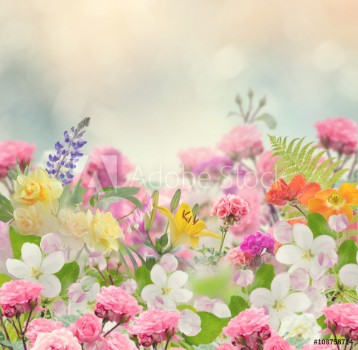 Picture of Beautiful Flowers Background